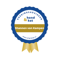 Shannen van Kampen_